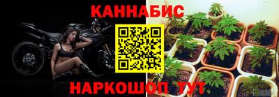 mdpv Аргун